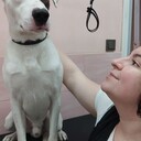 ���������� �����-���������, ���� ������� ���������, 29 ���, ������������ ��� ����� � ���������, c�������� ���������, ���������