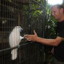  ,   ToLy, 44 ,   