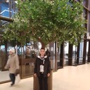 ���������� �������, ���� ������� ������, 43 ����, ������������ ��� ������, ����� � ���������, c�������� ���������