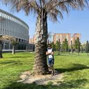 ���������� ���������, ���� ������� ����, 30 ���, ������������ ��� ������, ����� � ���������, c�������� ���������, ���������