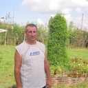  ,   , 67 ,   