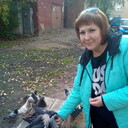 ���������� �������, ���� ������� ����, 38 ���, ������������ ��� ������, ����� � ���������, c�������� ���������