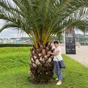  ,   , 66 ,   c 