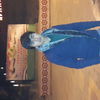  -,   Ilya123, 33 ,   