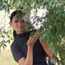 ���������� �������, ���� ������� ���������  �, 41 ���, ������������ ��� ����� � ���������, c�������� ���������, ���������