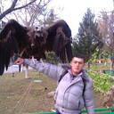 ���������� ��������, ���� ������� ������� ����, 31 ���, ������������ ��� ������, ����� � ���������, c�������� ���������, ���������