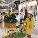 ���������� �����, ���� ������� �����, 35 ���, ������������ ��� ������, ����� � ���������