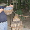  ,   Teodor, 56 ,   