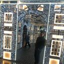 ���������� �������, ���� ������� ���������, 38 ���, ������������ ��� ����� � ���������, c�������� ���������