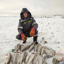 ���������� ������, ���� ������� ������, 37 ���, ������������ ��� ������, ����� � ���������, c�������� ���������