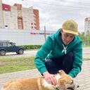  ,   , 33 ,   ,   