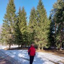 ���������� �����-���������, ���� ������� ����, 39 ���, ������������ ��� ������, ����� � ���������, ���������