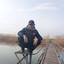  ,    , 41 ,  