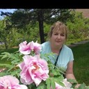 ���������� ������, ���� ������� ����, 44 ����, ������������ ��� ������, ����� � ���������