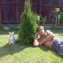  ,   , 52 ,   