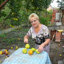 ���������� ���������, ���� ������� ��������, 68 ���, ������������ ��� ������, ����� � ���������, c�������� ���������