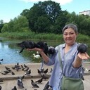 ���������� �����������, ���� ������� ������, 57 ���, ������������ ��� c�������� ���������