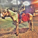 ���������� �������, ���� ������� ��������, 28 ���, ������������ ��� ������, ����� � ���������, c�������� ���������