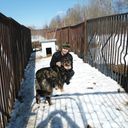 ���������� ������, ���� ������� ������, 43 ����, ������������ ��� ������, ����� � ���������, c�������� ���������, ���������