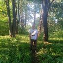   ,   , 44 ,   