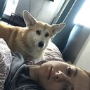 ���������� �����-���������, ���� ������� ���������, 28 ���, ������������ ��� ������, ����� � ���������, c�������� ���������