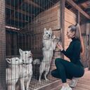 ���������� Abenberg, ���� ������� ����, 31 ���, ������������ ��� ������, ����� � ���������