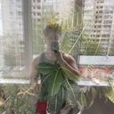 ���������� ���������, ���� ����� ����, 23 ����, ������������ ��� ������, ����� � ���������