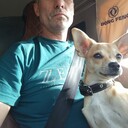 ���������� ��������, ���� ������� ������, 51 ���, ������������ ��� ������, ����� � ���������, c�������� ���������