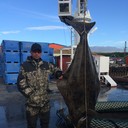 ���������� �����, ���� ������� ������, 44 ����, ������������ ��� ������, ����� � ���������, c�������� ���������