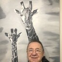   ,   , 56 ,     , c 