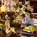 ���������� �����-���������, ���� ������� ���������, 24 ����, ������������ ��� ���������