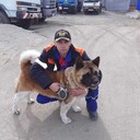 ���������� �����������, ���� ������� ����, 52 ����, ������������ ��� ������, ����� � ���������