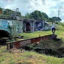  ,   Timurlan, 35 ,     , c , 