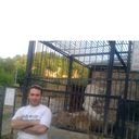 ���������� ������, ���� ������� ����, 41 ���, ������������ ��� ������, ����� � ���������, c�������� ���������, ���������