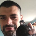  ,   , 37 ,   ,   