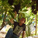 ���������� �����-���������, ���� ������� ������, 46 ���, ������������ 