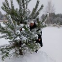 ���������� ���������, ���� ������� ������, 58 ���, ������������ ��� ������, ����� � ���������, ���������