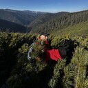  --,   , 40 ,   ,   , c , 