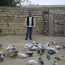 ���������� ����, ���� ������� Teymur, 44 ����, ������������ ��� ������