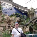 ���������� ��������, ���� ������� ��������, 38 ���, ������������ ��� ����� � ���������, c�������� ���������