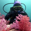 ���������� �����������, ���� ������� �����, 48 ���, ������������ ��� ������, ����� � ���������, c�������� ���������