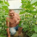  --,   , 66 ,   ,   , c 