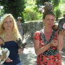  ,   FREYA, 52 ,     , c 