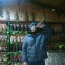  ,   , 43 ,   ,   