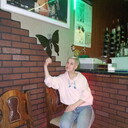 ���������� ������, ���� ������� ������, 44 ����, ������������ ��� ������, ����� � ���������