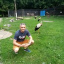 ���������� �����������, ���� ������� ������, 44 ����, ������������ ��� ������, ����� � ���������, c�������� ���������