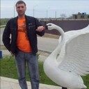 ���������� ������, ���� ������� ������, 36 ���, ������������ ��� ������, ����� � ���������