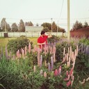  ,   Abdullo, 31 ,   ,   , c 