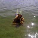 ���������� ���������, ���� ������� ���������, 34 ����, ������������ ��� ������, ����� � ���������, c�������� ���������, ���������