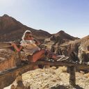 ���������� �����-���������, ���� ������� ���������, 32 ����, ������������ 